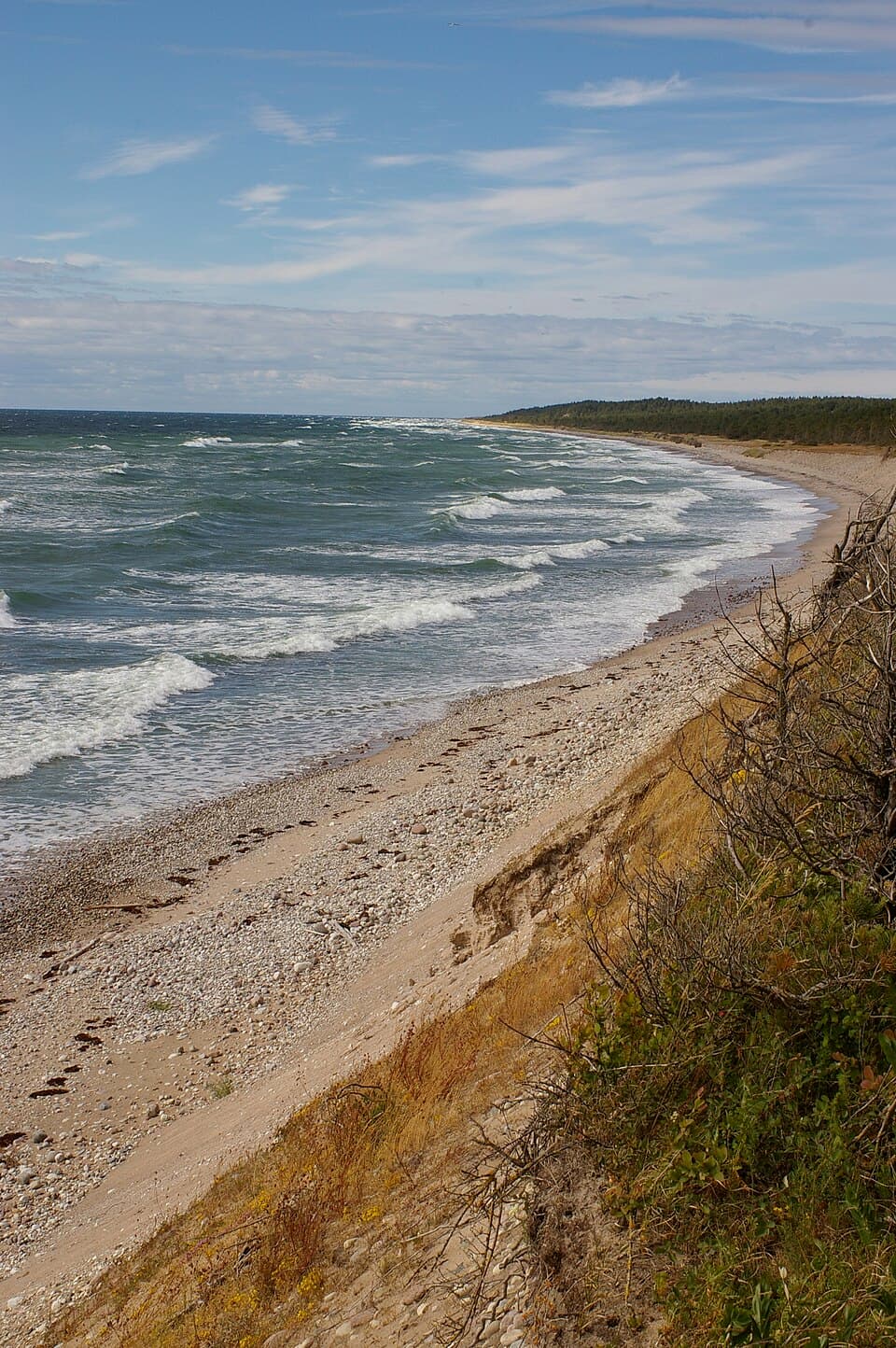 Öde sten- och sandstrand på Gotska Sandöns västkust, med bränningar och skog i bakgrunden.