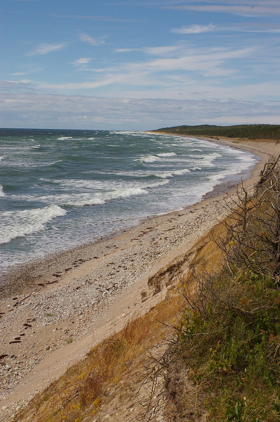 Öde sten- och sandstrand på Gotska Sandöns västkust, med bränningar och skog i bakgrunden.